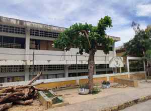 Unos 400 estudiantes no asisten a clases en la Escuela Cruz de la Unión en Cumaná porque está “vuelta un desastre” (FOTOS)