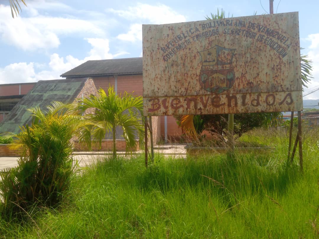 Al menos 100 niños de una escuela estadal en Bejuma estudian en medio de una “selva” (FOTOS)