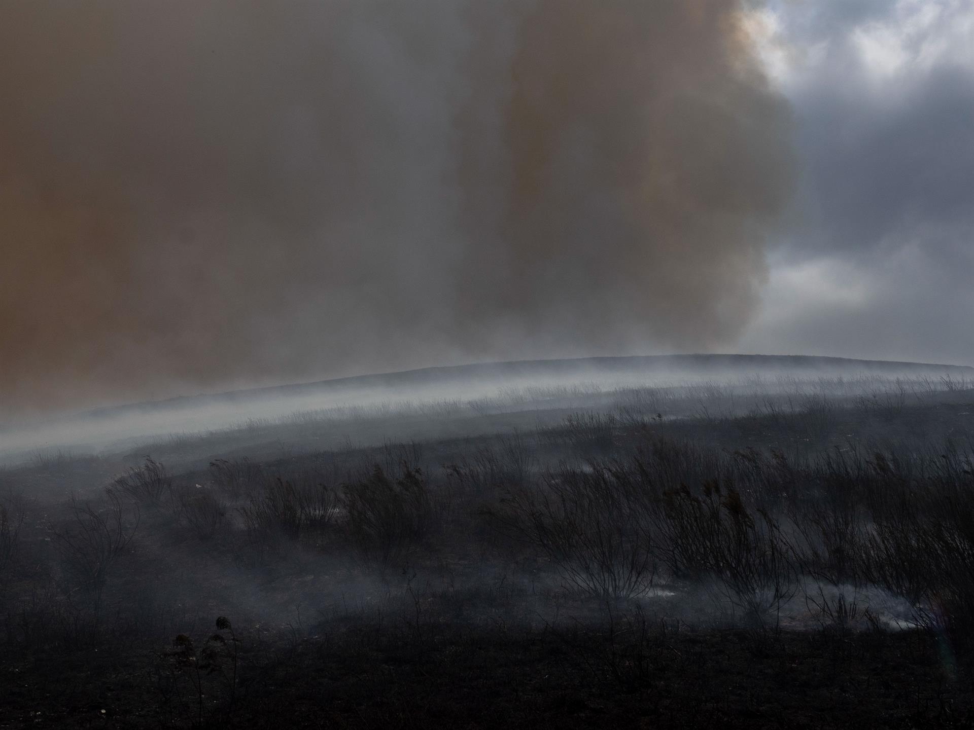 Estos increíbles datos satelitales confirman el impacto que tuvo la ola de incendios sobre España