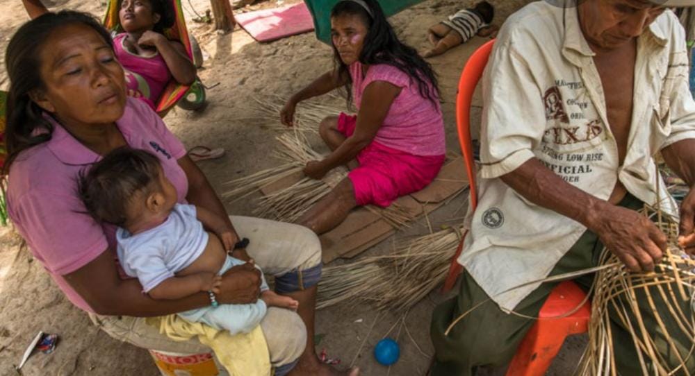 El duro final de Everto: el niño indígena mordido por una culebra, ruleteado por media Zulia… y que no logró salvarse