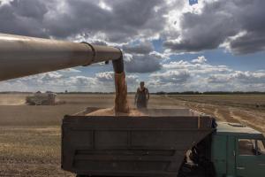 Rusia negociará con la ONU su parte del acuerdo del grano el #5May