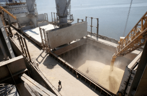 Puertos ucranianos designados para exportar grano “reanudaron su trabajo”