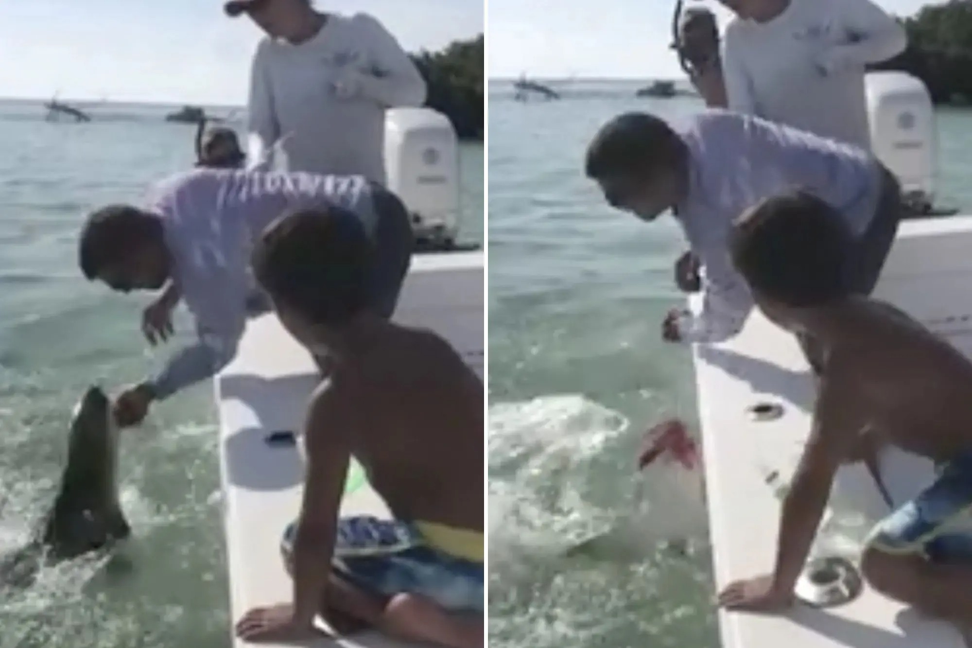 Lo que hizo un hombre luego de que tiburón casi le arranca una parte de su cuerpo en aguas de Florida