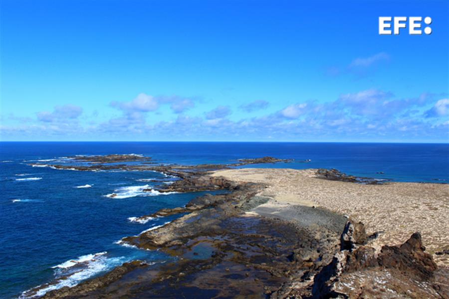 Las Islas Salvajes de Madeira, referente entre las áreas marinas protegidas