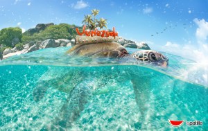 Amenaza del ecosistema en isla La Tortuga un paraíso tropical en el Caribe (Fotos y Video)