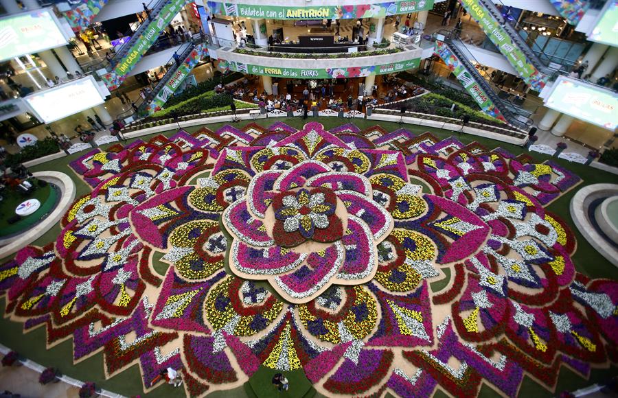 Feria de las flores en Colombia: Tapiz con 200 mil flores engalana Medellín con una experiencia multisensorial