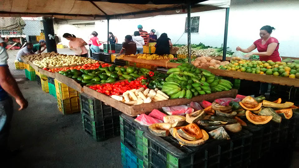 Ganaderos y agricultores de los Andes reportan ligero incremento en la producción