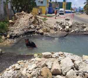 En Puerto La Cruz tienen tantos días sin agua… que Hidrocaribe ya no puede “lavarse las manos”