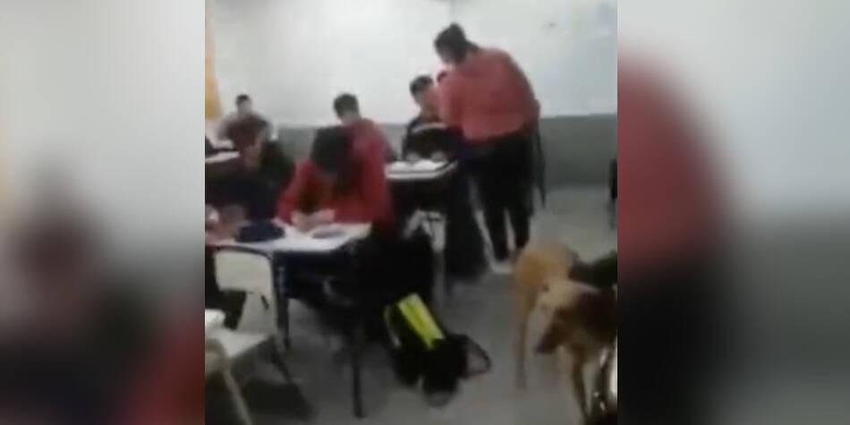 Madre entró a una clase y cacheteó a compañero de su hijo por molestarlo (VIDEO)