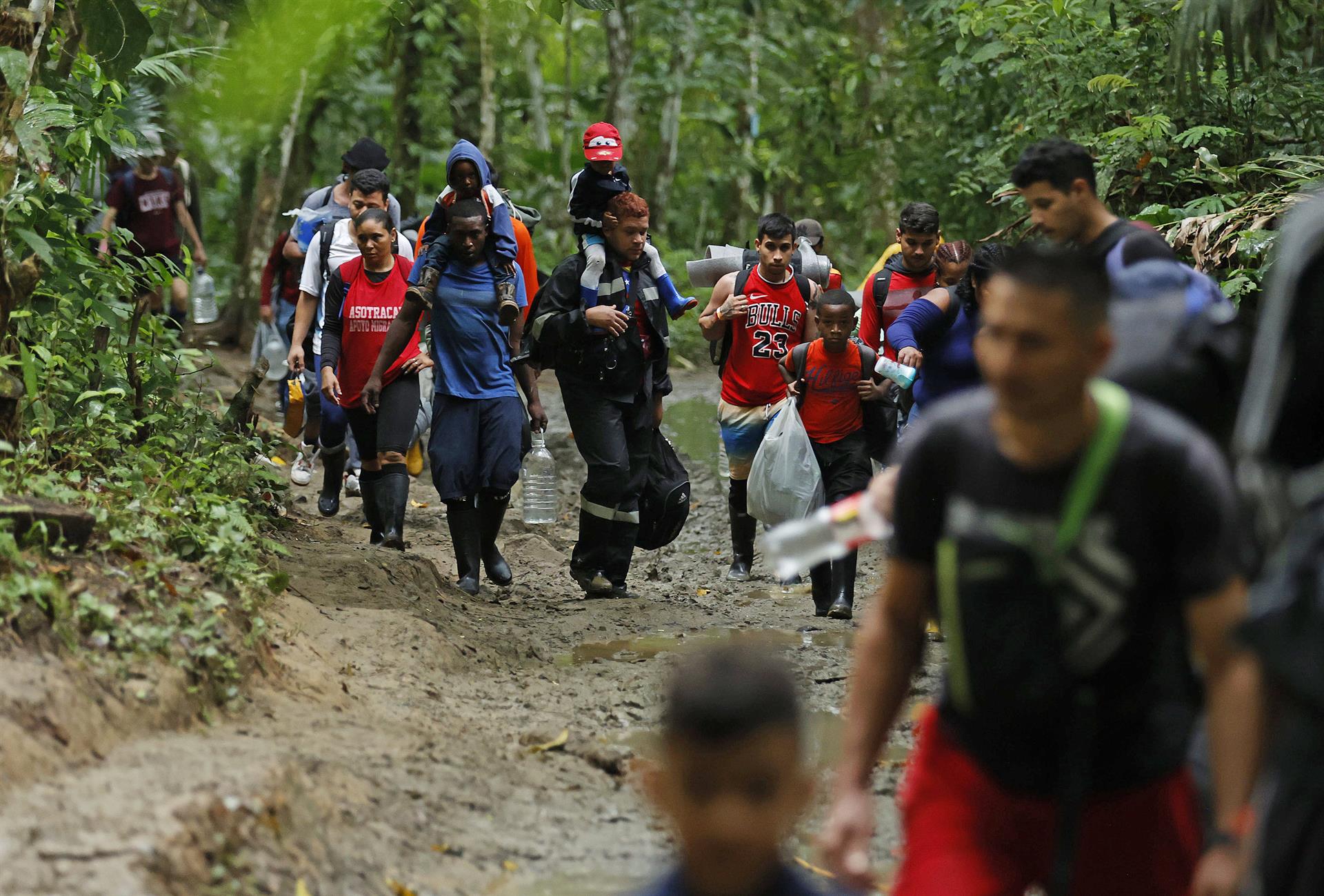 Pese a los peligros del Darién, casi 250 mil migrantes se aventuraron a cruzar la selva en 2022 (Video)