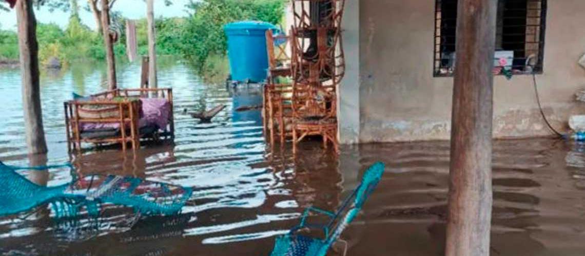 Cultivos y hatos en Venezuela afectados por las fuertes lluvias