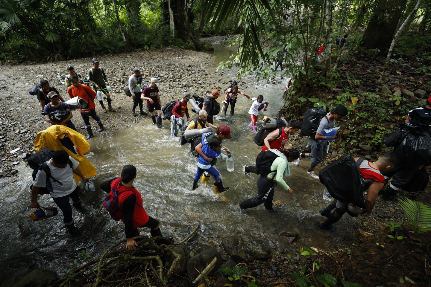 Más de 250 mil venezolanos han pasado por el Tapón del Darién este año