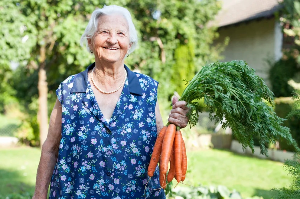 Toma nota: cómo es la dieta que proponen para vivir 100 años y luchar contra el deterioro cognitivo