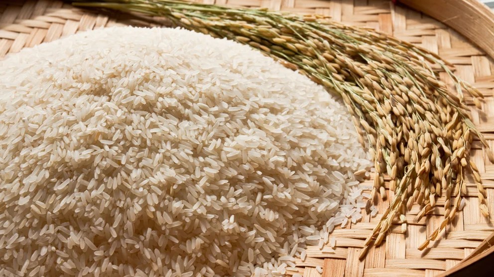 Día internacional del Arroz: su historia y las distintas clases