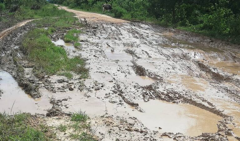 Para pasar por la carretera de Palmarito en Apure A JURO debes tener un rústico (Imágenes)