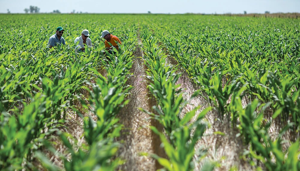 Productores piden investigar a familiar de ministro chavista por presunta estafa de 170 mil dólares