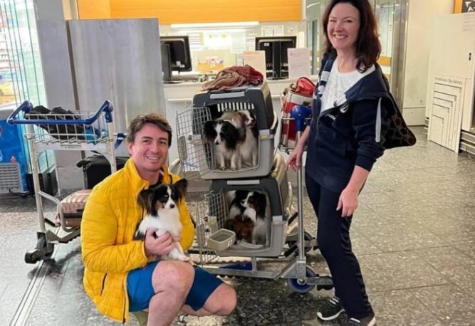 VIDEO: El hombre que perdió a sus perros en un aeropuerto, se reencontró con ellos y su reacción se volvió VIRAL