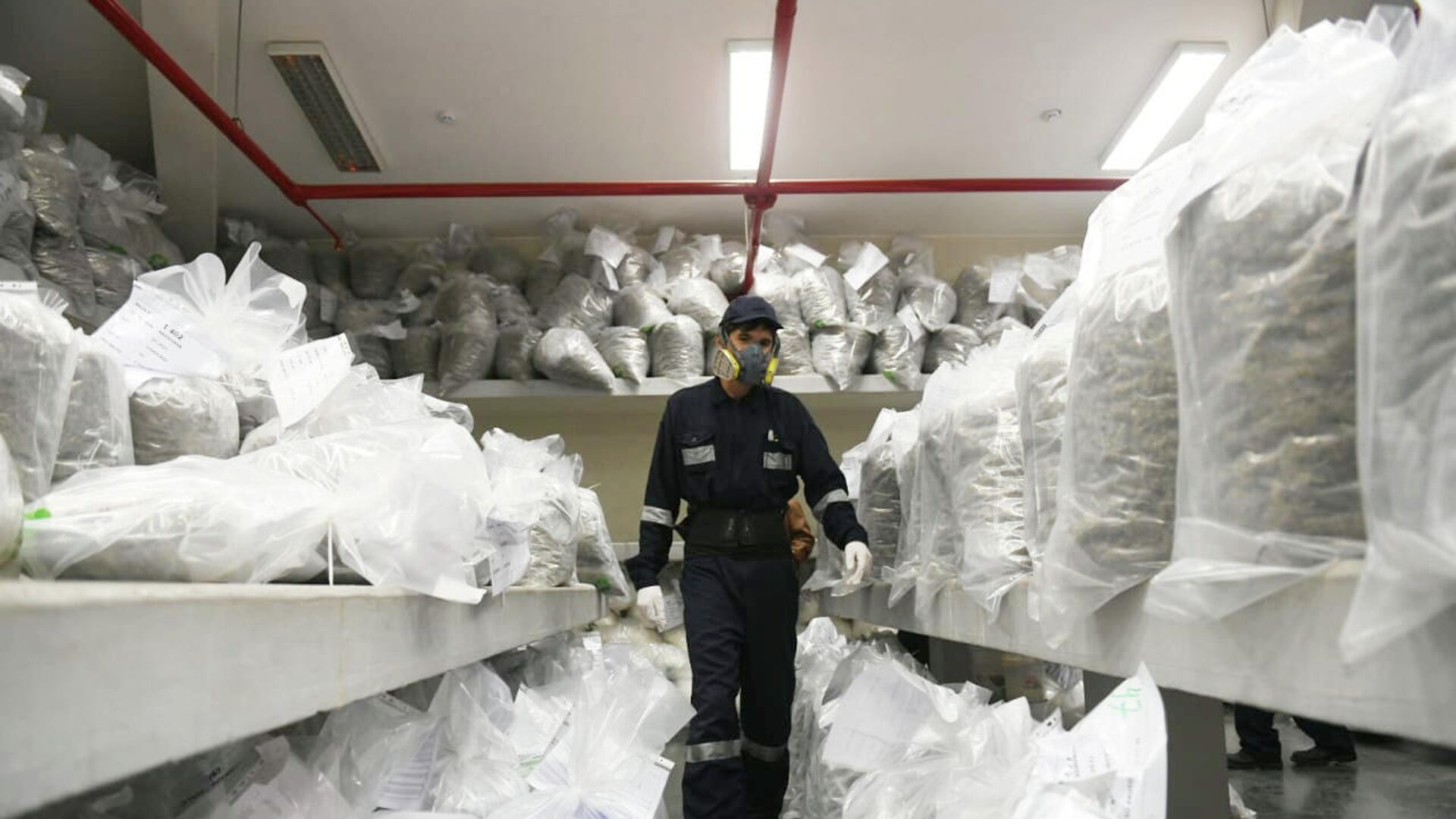 Perú quema 14 toneladas de drogas decomisadas desde noviembre