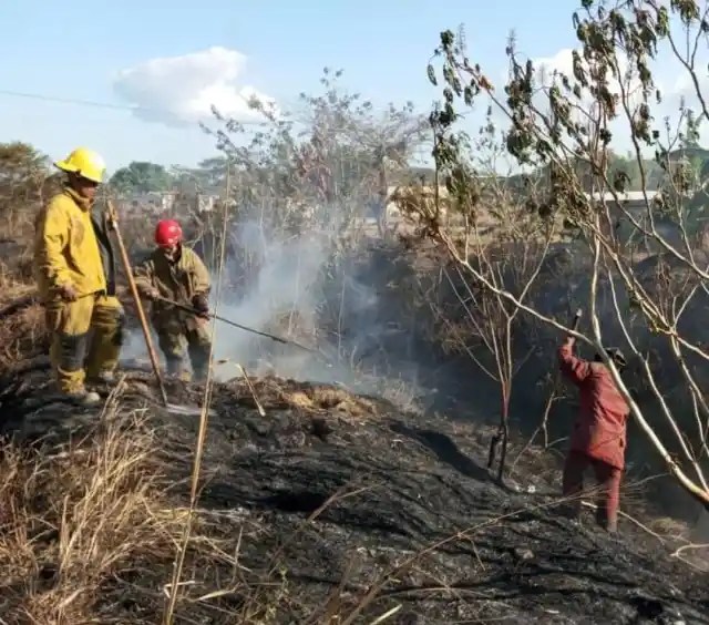 Alert in Lara due to the increase in forest fires in recent weeks (PHOTOS)