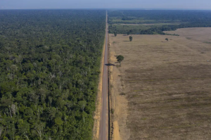 AP: Autoridades investigan vínculos de la Amazonia con atentados en Brasilia