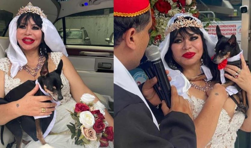 VIDEO: Excongresista peruana se casó con su perro en el Día de San Valentín