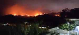 Fire in the Henri Pittier National Park left the maracayeros “swallowing even smoke”