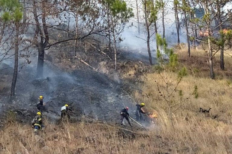 Fires, deforestation and charcoal production attack reservoirs and water basins of the Torres Municipality in Lara State