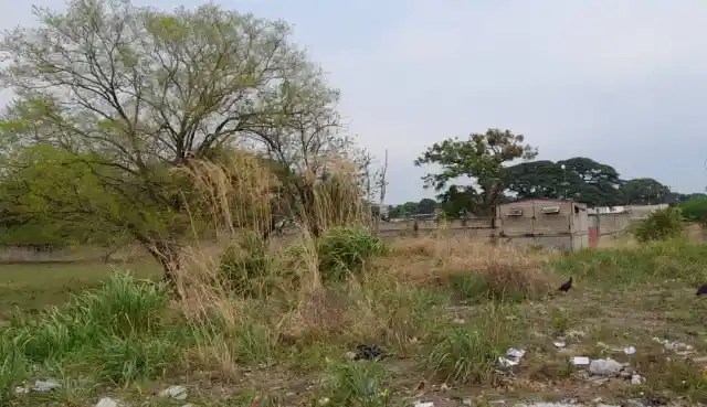 Bolívar Conservation Park, the environmental lung of Barinas invaded by factories and businesses