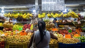Canasta de Supervivencia semanal superó los 25 dólares en Venezuela, según la OVF