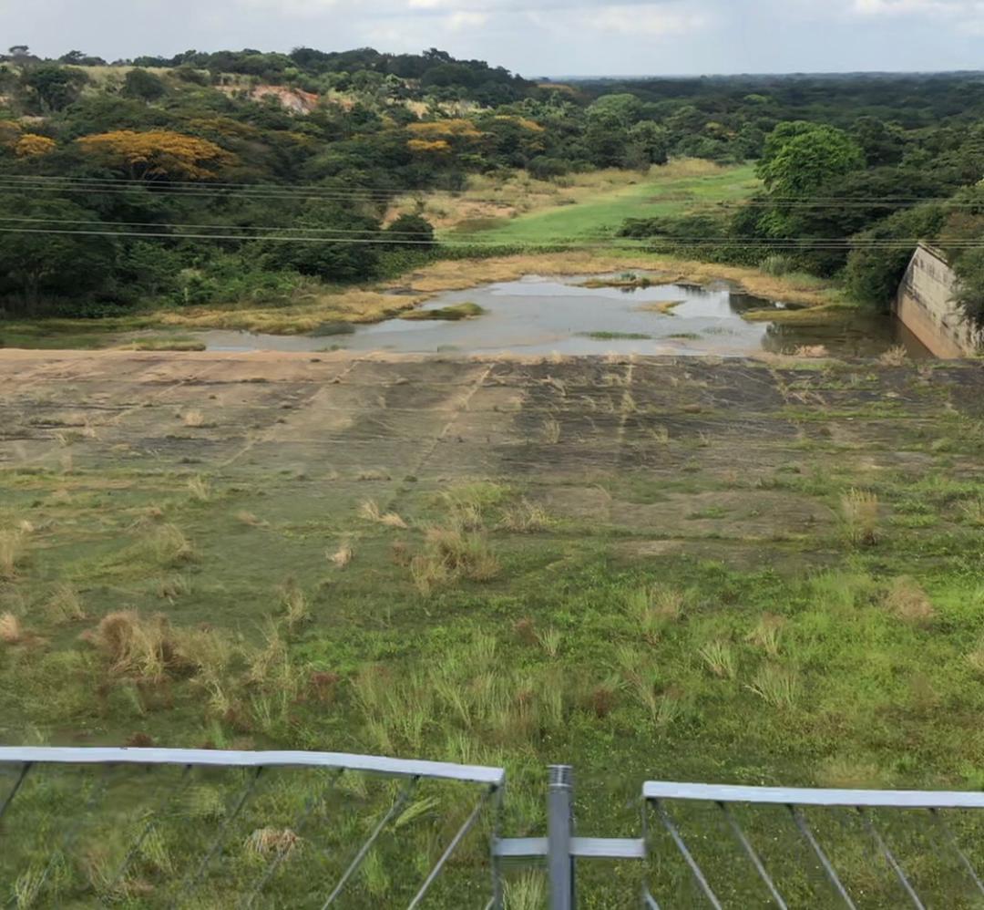 Productores piden más tiempo de riego para no perder unas cinco mil hectáreas de arroz en Guárico