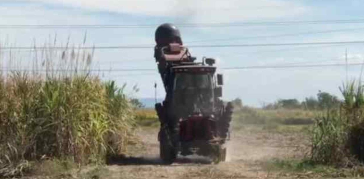 En “pico e’ zamuro” unas 40 mil toneladas de caña de azúcar en Carabobo por falta de combustible