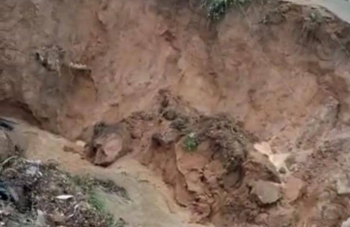 Se reventaron las tuberías y brotan fuentes de cloacas por todos lados en el sector Monte Bello de Maracaibo