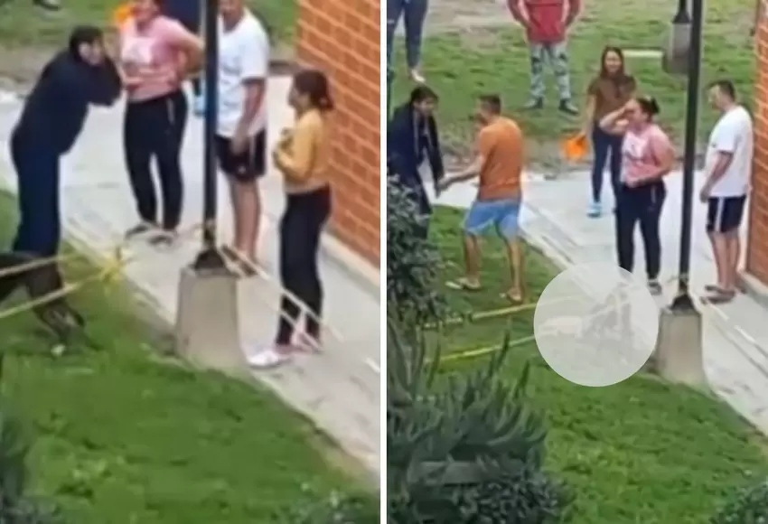 VIDEO impactante: pit bull sin bozal mató a un perrito… los gritos de la dueñas son estremecedores