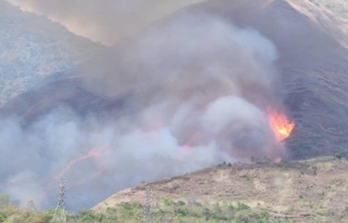 Incendios forestales en Caracas: Más de 270 casos registrados en lo que va de 2023