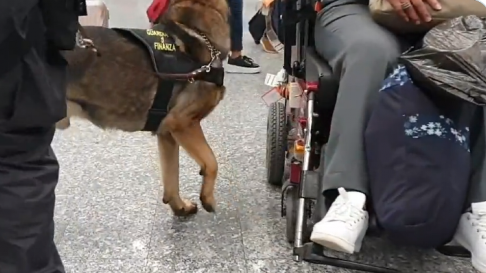 Hallan ocho kilos de droga en la silla de ruedas de un pasajero en Milán