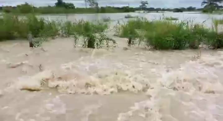 “Bajo las aguas” están los campos y carretera de Santa Inés en Barinas