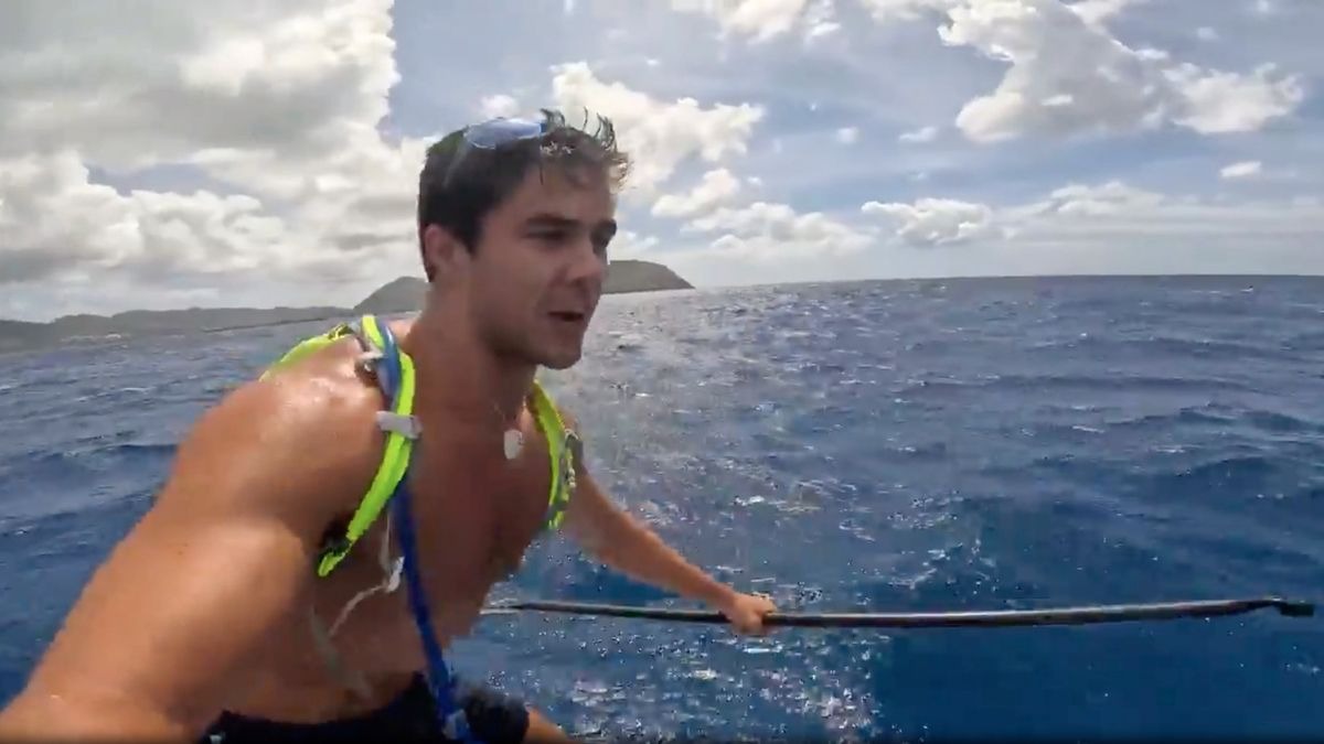¡De terror! Surfista grabó el encuentro cercano con un enorme tiburón blanco en Hawái (VIDEO)