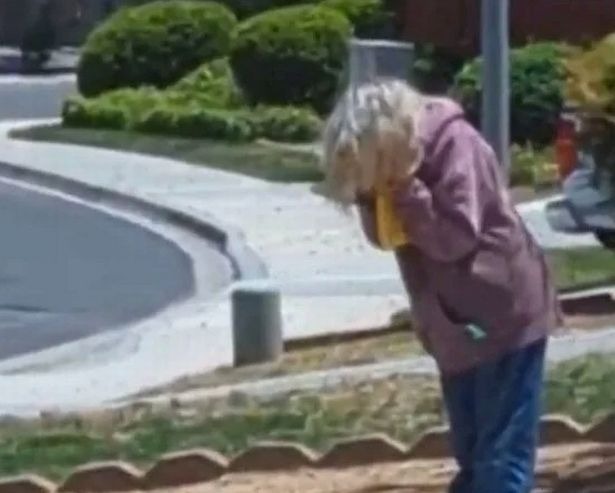 Ataque en California: Mujer casi muere al ser picada más de 700 veces por abejas que invadieron su hogar