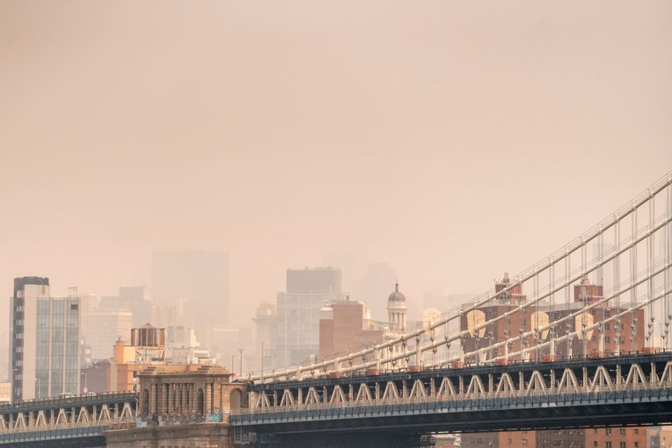 VIDEO: Las calles de Nueva York están infestadas de misteriosos y enormes insectos verdes