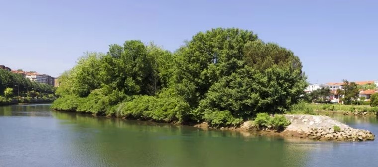 La curiosa isla que pertenece seis meses al año a España y seis a Francia desde hace más de tres siglos