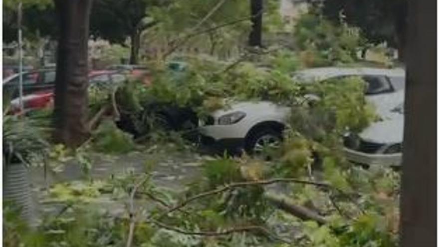 Fuertes tormentas azotan Mallorca, España: potentes ráfagas de viento y daños en edificaciones (VIDEO)