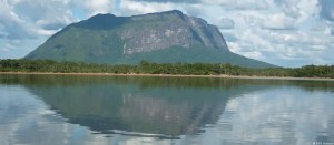 SOS Orinoco alerta del ecocidio en la Amazonía venezolana