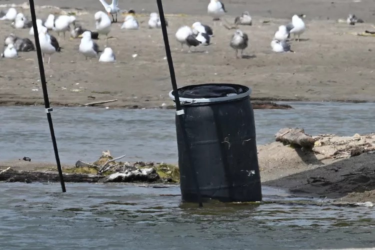 Revelan la causa de muerte del rapero que fue hallado muerto dentro de un barril en California