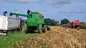 Falta de gasoil en Portuguesa pone en riesgo las cosechas de maíz