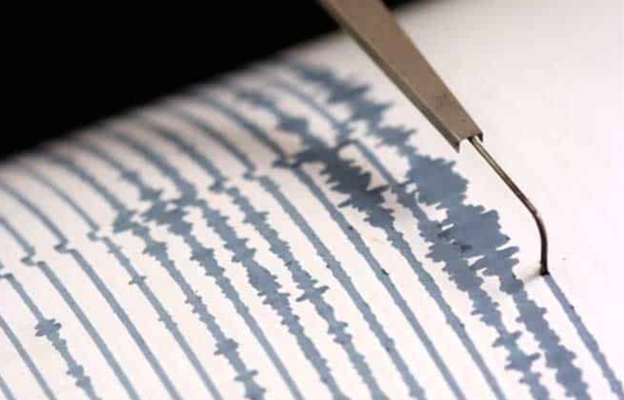 Un terremoto de magnitud 6,6 sacude las aguas al norte de Nueva Zelanda