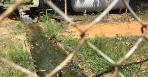 Temen brote de dengue debido a las aguas piches en bloques de Unare de Puerto Ordaz