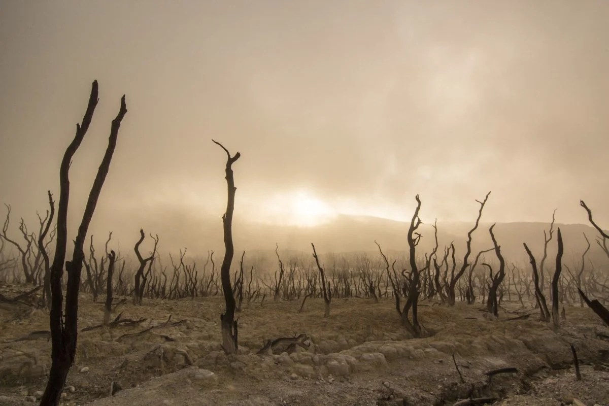 La ONU apoya el reconocimiento del “ecocidio” como un crimen internacional