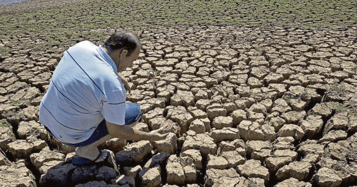 Impacto de “El Niño” en Venezuela tendrá su pico más fuerte entre noviembre y enero