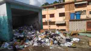 Montañas de basura y riesgo de enfermedades: los “regalitos” de Navidad para los vecinos de El Rincón en Maiquetía