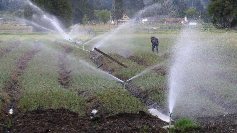 La nueva ley de California que afectará el manejo del agua